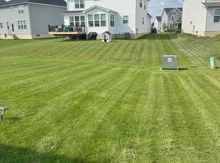 Shawna D.'s lawn care services service result