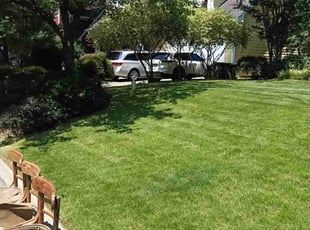 Kyle L.'s turf care service result