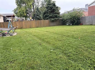 Latifah S.'s lawn service service result