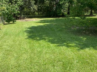 Charles E.'s lawn service service result