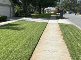 Tushar K.'s turf care service result