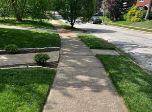 Sharen R.'s yard work service result