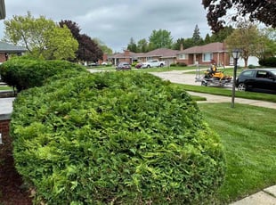 Lynn M.'s Bush Trimming service result