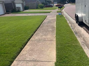 Michael K.'s grass maintenance service result