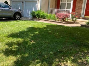 Randy W.'s grass maintenance service result