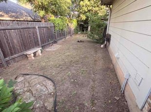 Michael H.'s lawn care service result