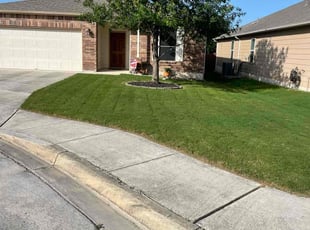 Iona D.'s yard maintenance service result