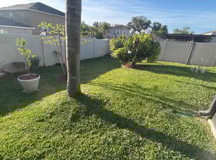 Mike S.'s grass maintenance service result