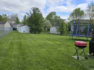 Sean M.'s grass cutting service result