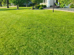 Blake A.'s lawn service service result