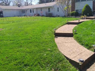 Lenora R.'s lawn maintenance service result