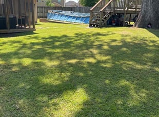 Shantele P.'s lawn maintenance service result