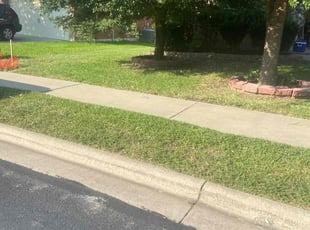 Ileana V.'s lawn care services service result