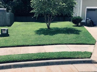 Eric A.'s turf maintenance service result
