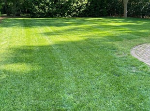 Frank B.'s Cleanups service result