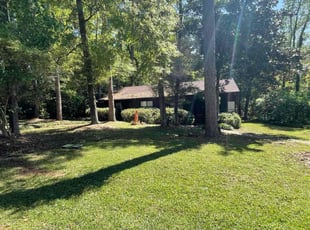 Liza B.'s Bush Trimming service result