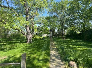 Tiffany M.'s lawn care services service result