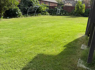 Michael C.'s lawn service service result