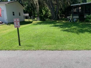 Synthea B.'s grass maintenance service result