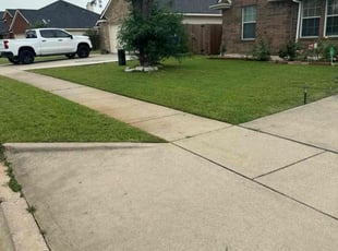 Mandy C.'s grass cutting service result