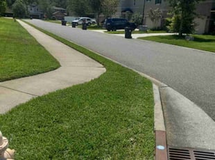 Cynthia D.'s lawn maintenance service result