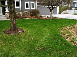 Jaclyn S.'s grass maintenance service result