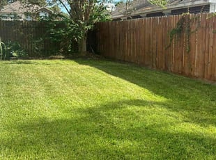 Amos Y.'s turf maintenance service result