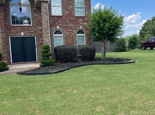 Michael G.'s Bush Trimming service result