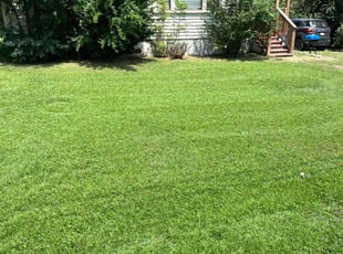 Edna G.'s lawn service service result