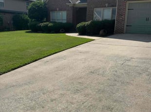 Dani W.'s grass cutting service result