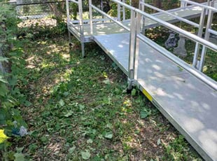 Georgina S.'s turf maintenance service result