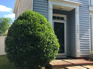 Dean V.'s Bush Trimming service result