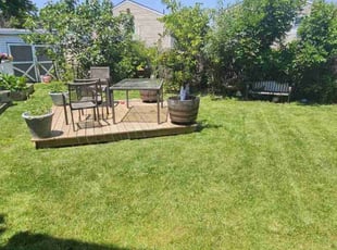 Derrick S.'s lawn care service result