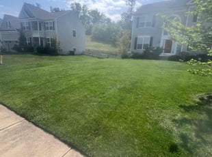 Samantha T.'s lawn maintenance service result