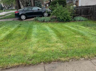 John G.'s grass maintenance service result