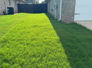 Rodshetta S.'s lawn service service result