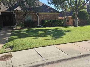 Clarissa S.'s grass cutting service result