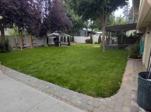 Amy W.'s grass cutting service result
