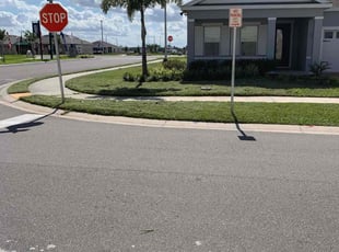 Sheila K.'s grass cutting service result