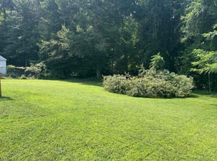 Steve S.'s grass maintenance service result