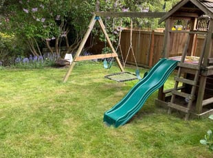 Anna C.'s lawn care service result