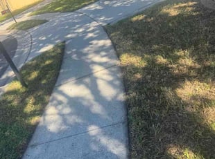 Adrian R.'s grass cutting service result