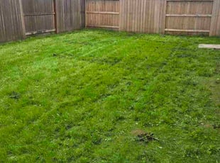 James M.'s lawn care service result