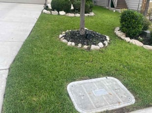 Michelle R.'s grass cutting service result