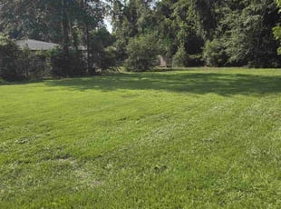 Stephen J.'s grass cutting service result