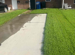 Bruce T.'s lawn service service result