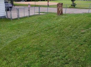 Hoon K.'s lawn service service result