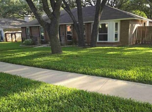Devon M.'s grass maintenance service result