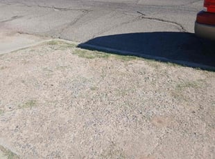 Danny D.'s Long Grass Cleanup service result