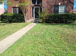 Jasmine M.'s lawn care service result